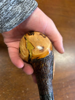 Blackthorn Walking Stick 39 1/4 inch - Handmade in Ireland