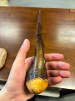 Blackthorn Walking Stick 39 inch - Handmade in Ireland