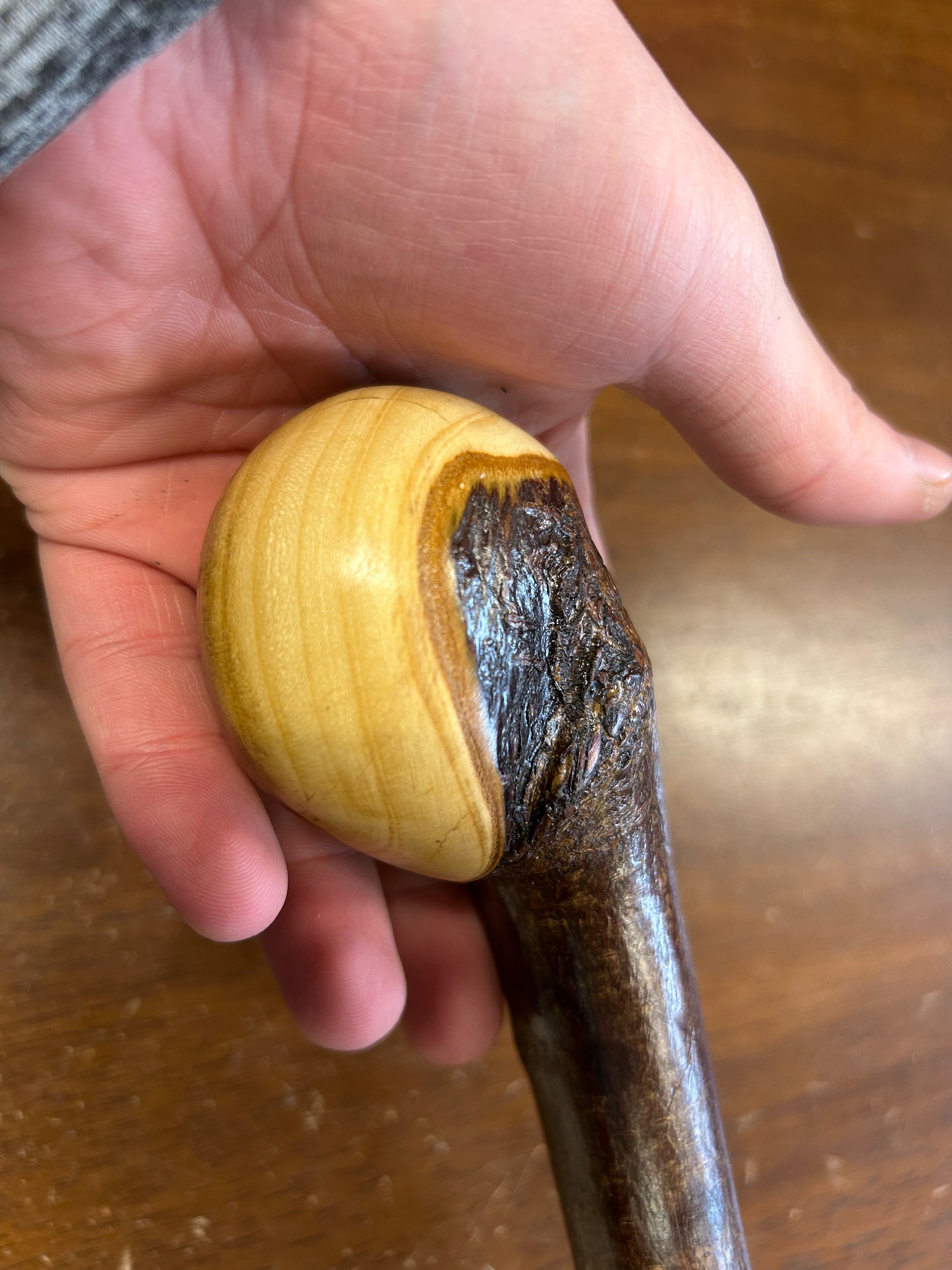 Blackthorn Walking Stick 38 inch - Handmade in Ireland