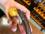 Blackthorn Walking Stick 37 1/2 inch - Handmade in Ireland