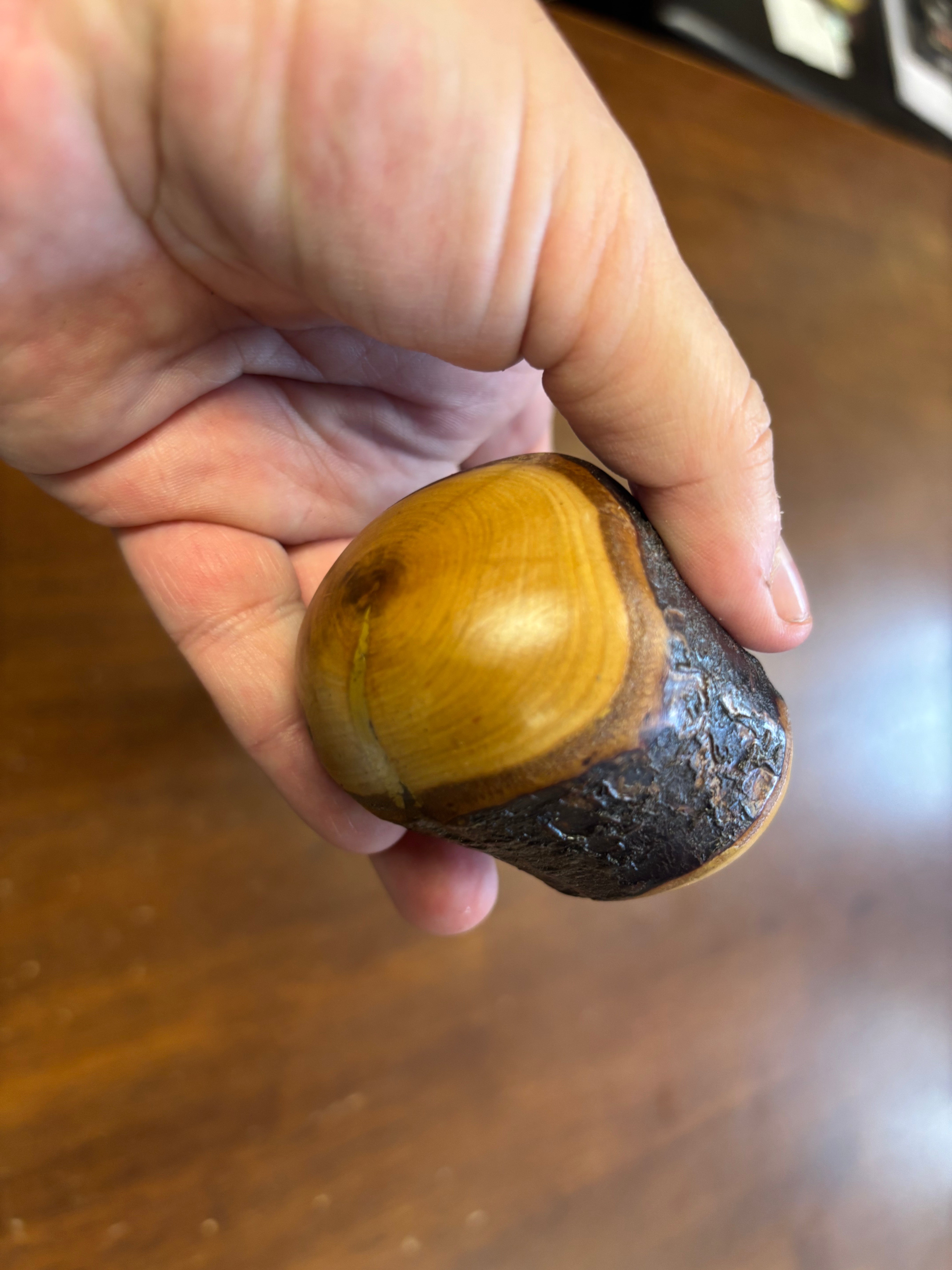 Blackthorn Shillelagh - 19 3/4 inch - Handmade in Ireland