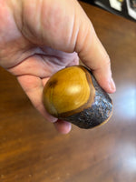 Blackthorn Shillelagh - 19 3/4 inch - Handmade in Ireland