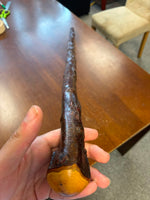 Blackthorn Walking Stick 38 inch - Handmade in Ireland