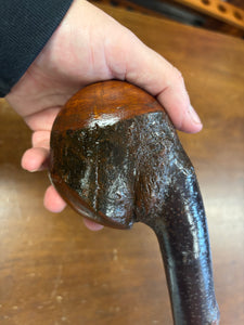 Blackthorn Shillelagh - 19 3/4 inch - Handmade in Ireland