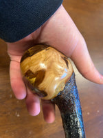 Blackthorn Walking Stick 39 1/4 inch - Handmade in Ireland