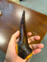 Blackthorn Walking Stick 38 inch - Handmade in Ireland