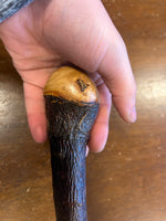 Blackthorn Walking Stick 34 inch - Handmade in Ireland