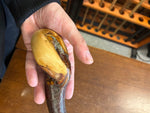 Blackthorn Walking Stick 37 3/4 inch - Handmade in Ireland