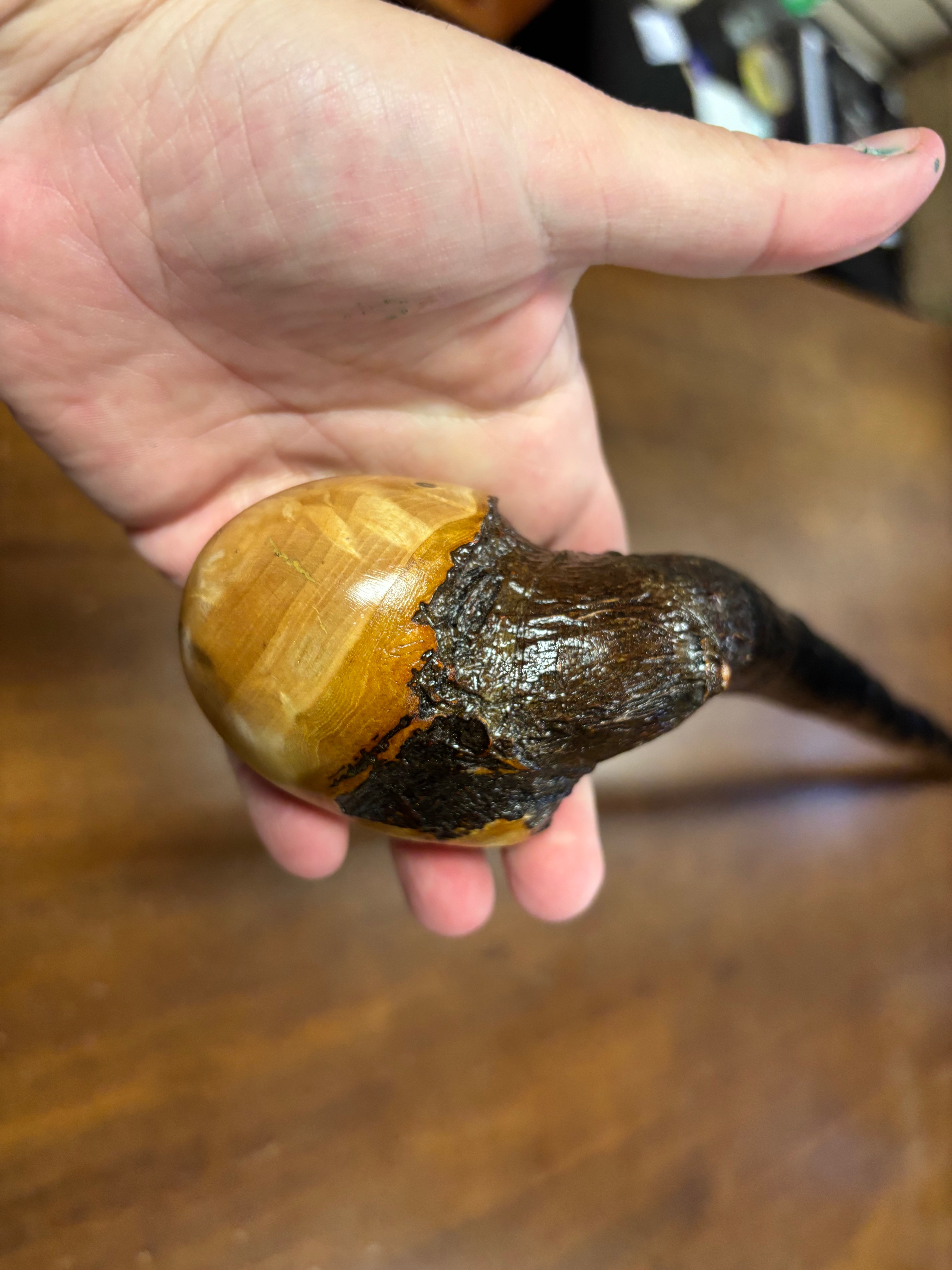 Blackthorn Walking Stick 38 1/2 inch - Handmade in Ireland