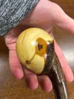 Blackthorn Walking Stick 37 3/4 inch - Handmade in Ireland