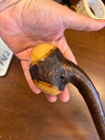 Blackthorn Shillelagh - 19 1/4 inch - Handmade in Ireland