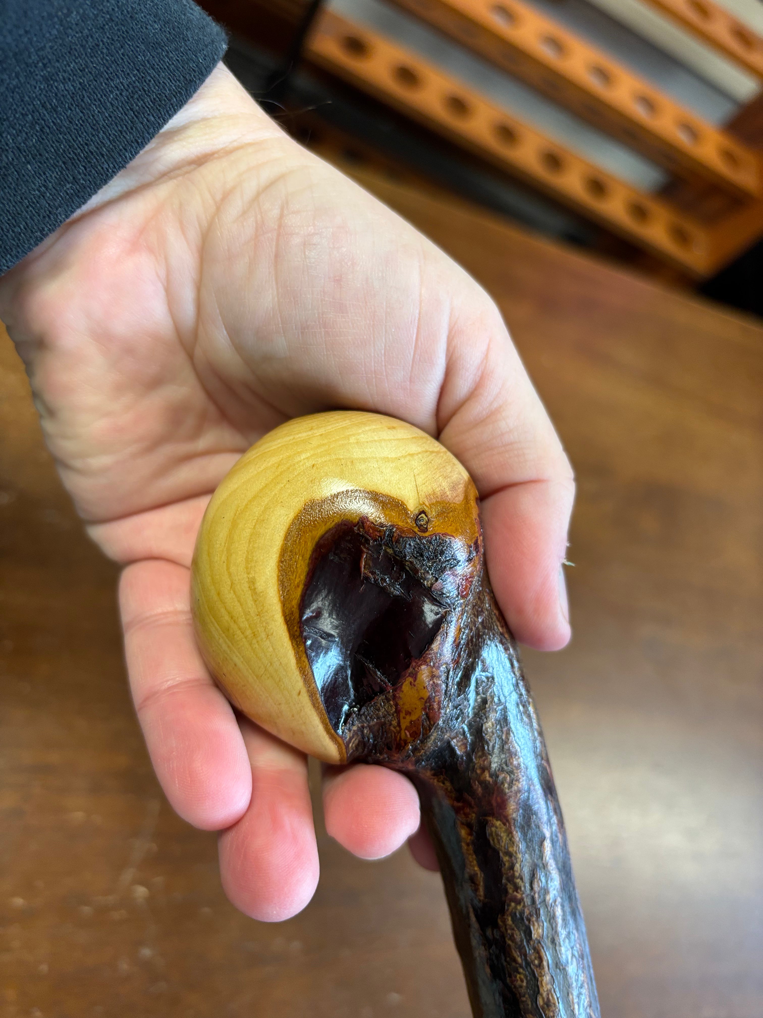 Blackthorn Walking Stick 39 inch - Handmade in Ireland