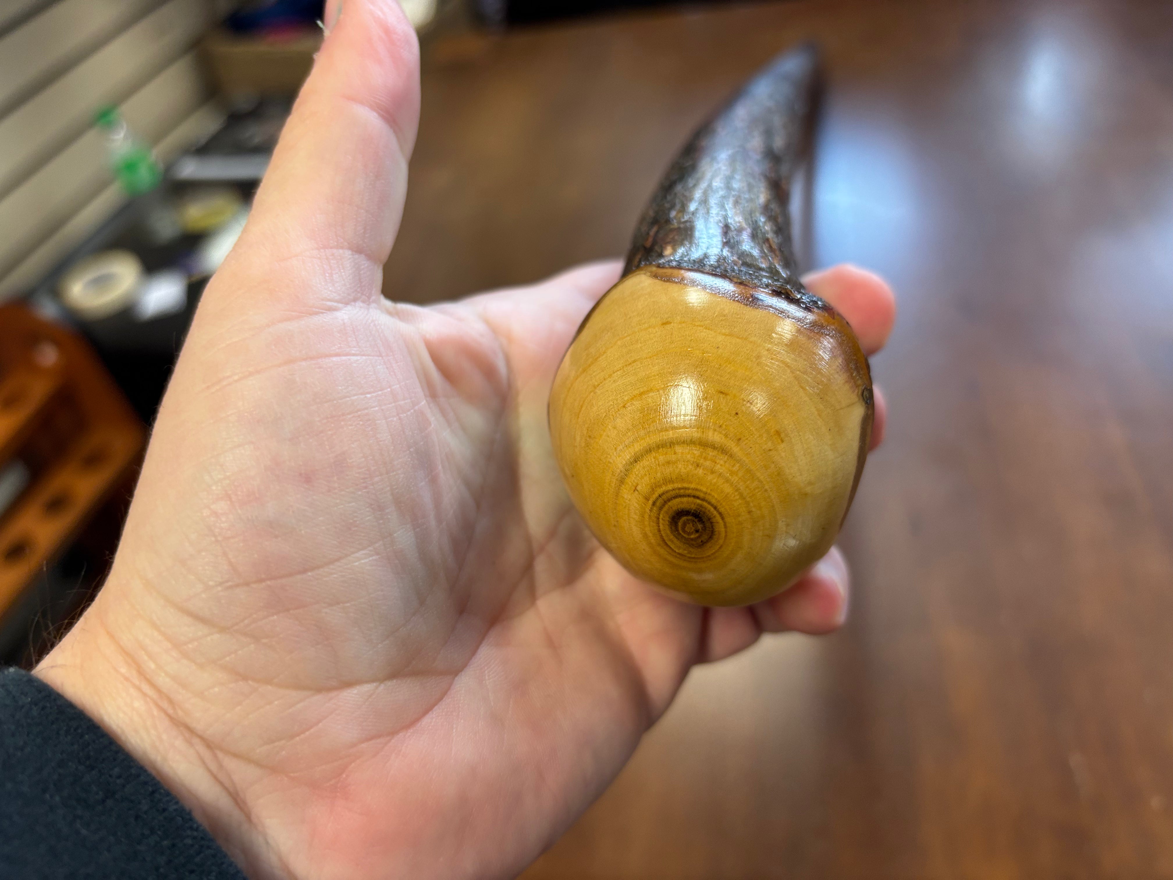 Blackthorn Walking Stick 39 inch - Handmade in Ireland