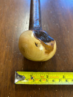 Blackthorn Walking Stick 39 1/4 inch - Handmade in Ireland