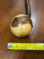 Blackthorn Shillelagh - 19 3/4 inch - Handmade in Ireland