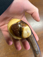 Blackthorn Walking Stick 37 inch - Handmade in Ireland