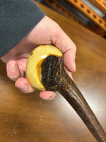 Blackthorn Walking Stick 38 1/2 inch - Handmade in Ireland