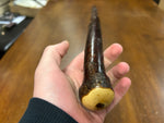 Blackthorn Walking Stick 38 1/2 inch - Handmade in Ireland