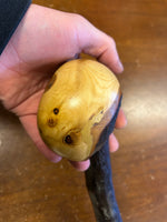 Blackthorn Shillelagh - 19 3/4 inch - Handmade in Ireland