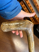 Irish Holly Walking Stick - 36 1/2 inch