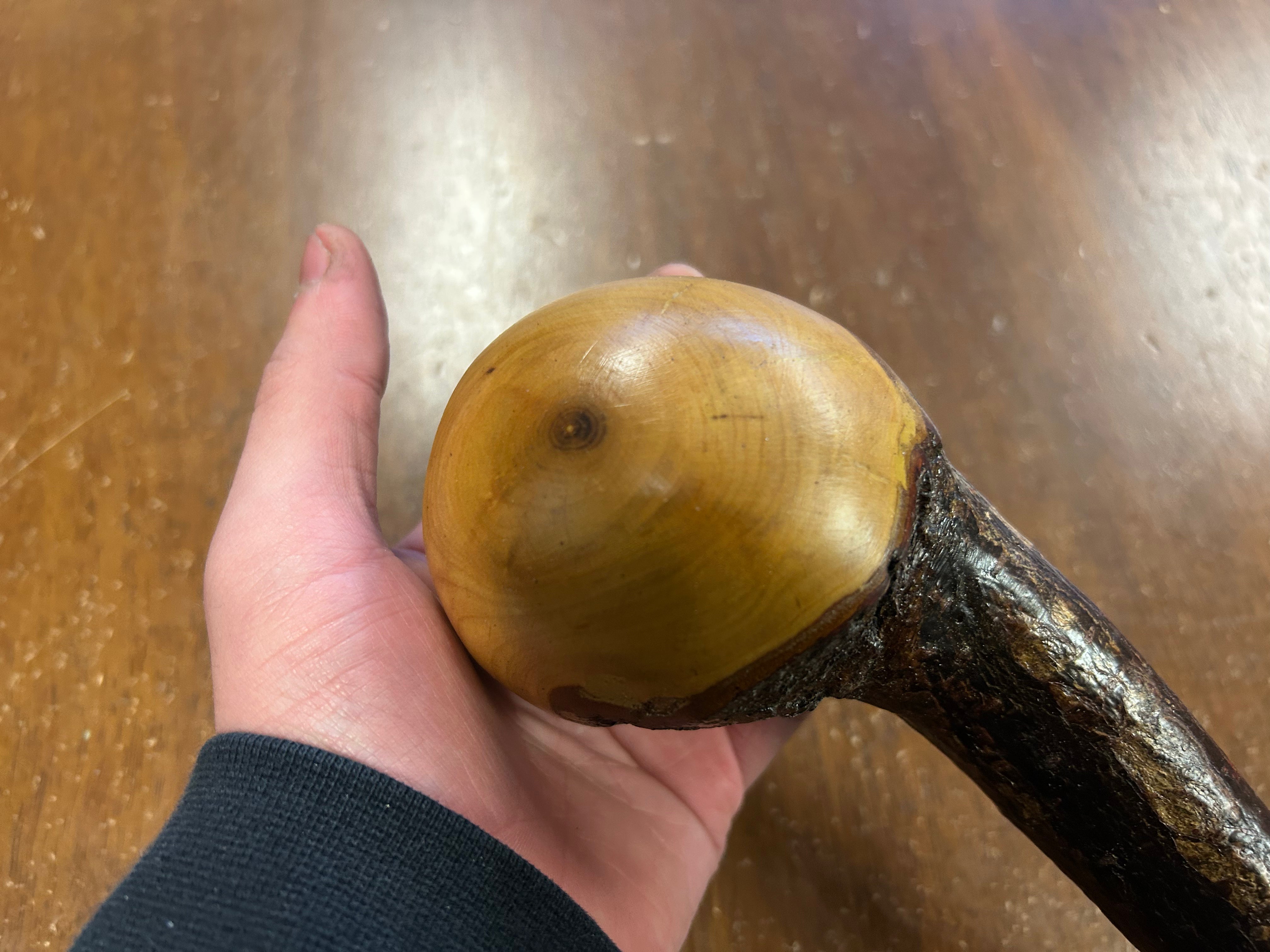 Blackthorn Shillelagh - 18 3/4 inch - Handmade in Ireland