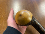 Blackthorn Shillelagh - 18 3/4 inch - Handmade in Ireland