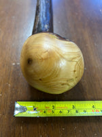 Blackthorn Shillelagh - 18 3/4 inch - Handmade in Ireland