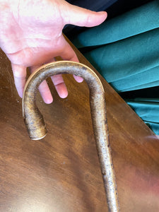 Hazel Walking Stick - 36 1/2 inch - crook head