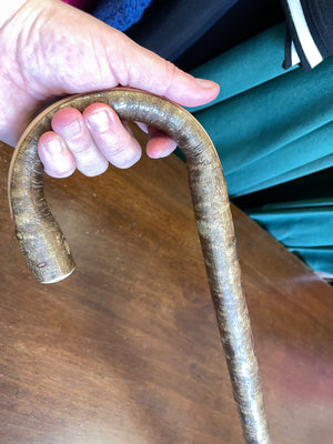 Hazel Walking Stick - 36 1/2 inch - crook head