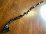 Display Irish Blackthorn - Home Decor