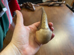Hazel Walking Stick - 39 1/2 inch