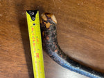 Blackthorn Walking Stick 37 inch- Handmade in Ireland