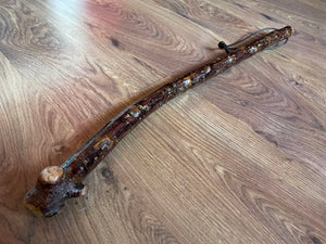 Blackthorn Shillelagh - 23 inch - Handmade in Ireland