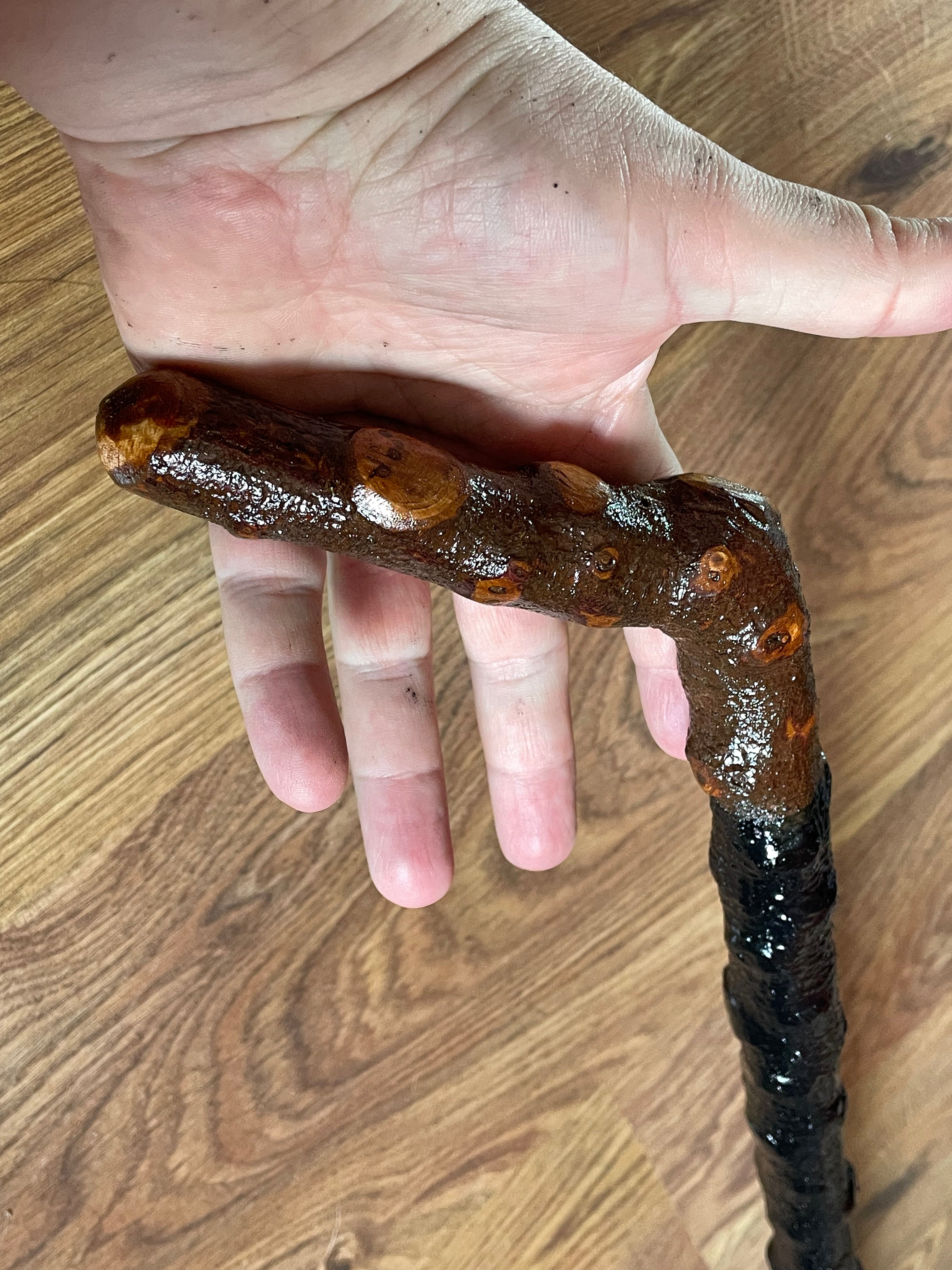 Blackthorn Walking Stick 34 1/2 inch - Handmade in Ireland