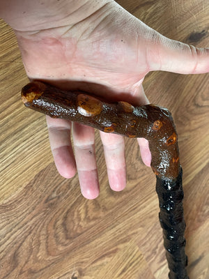 Blackthorn Walking Stick 34 1/2 inch - Handmade in Ireland