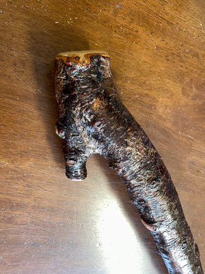 Blackthorn Shillelagh - 19 inch - Handmade in Ireland