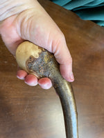 Hazel Walking Stick - 39 inch