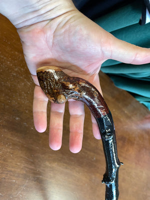 Blackthorn Walking Stick 34 1/2 inch - Handmade in Ireland