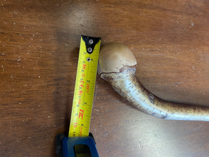 Hazel Walking Stick - 39 inch