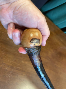 Blackthorn Walking Stick 37 1/4 inch - Handmade in Ireland