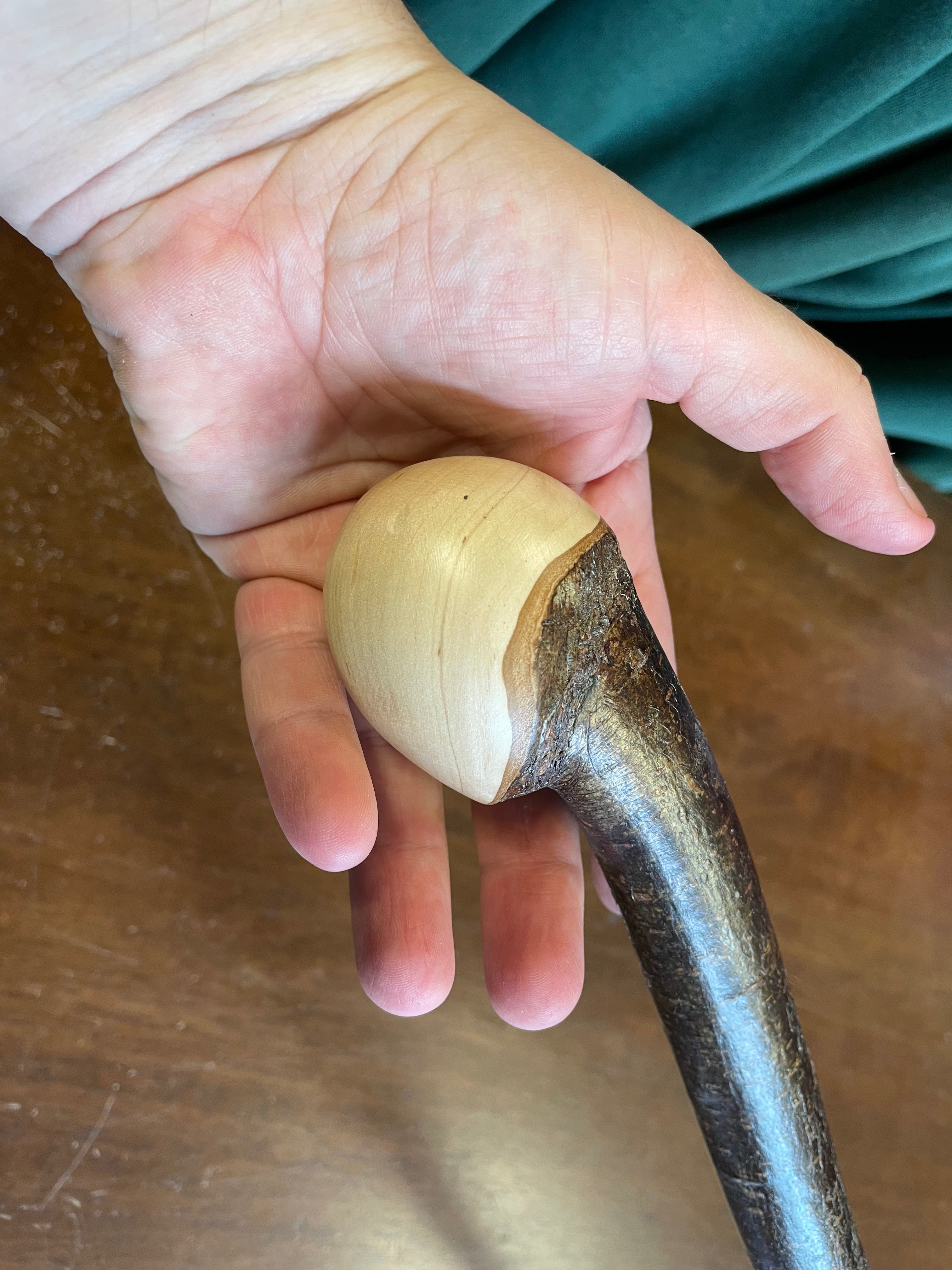 Hazel Walking Stick - 39 1/2 inch