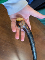 Blackthorn Walking Stick 36 1/2 inch- Handmade in Ireland