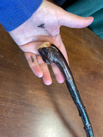 Blackthorn Walking Stick 31 1/2 inch- Handmade in Ireland