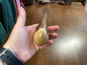 Hazel Walking Stick - 36 1/2 inch