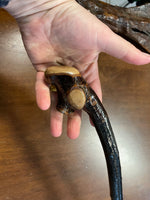 Blackthorn Walking Stick 35 1/2 inch - Handmade in Ireland