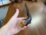 Blackthorn Walking Stick 35 1/4 inch - Handmade in Ireland