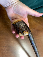 Blackthorn Walking Stick 33 3/4 inch- Handmade in Ireland