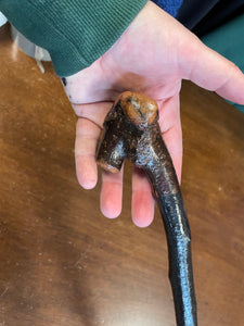 Blackthorn Walking Stick 34 1/4 inch- Handmade in Ireland