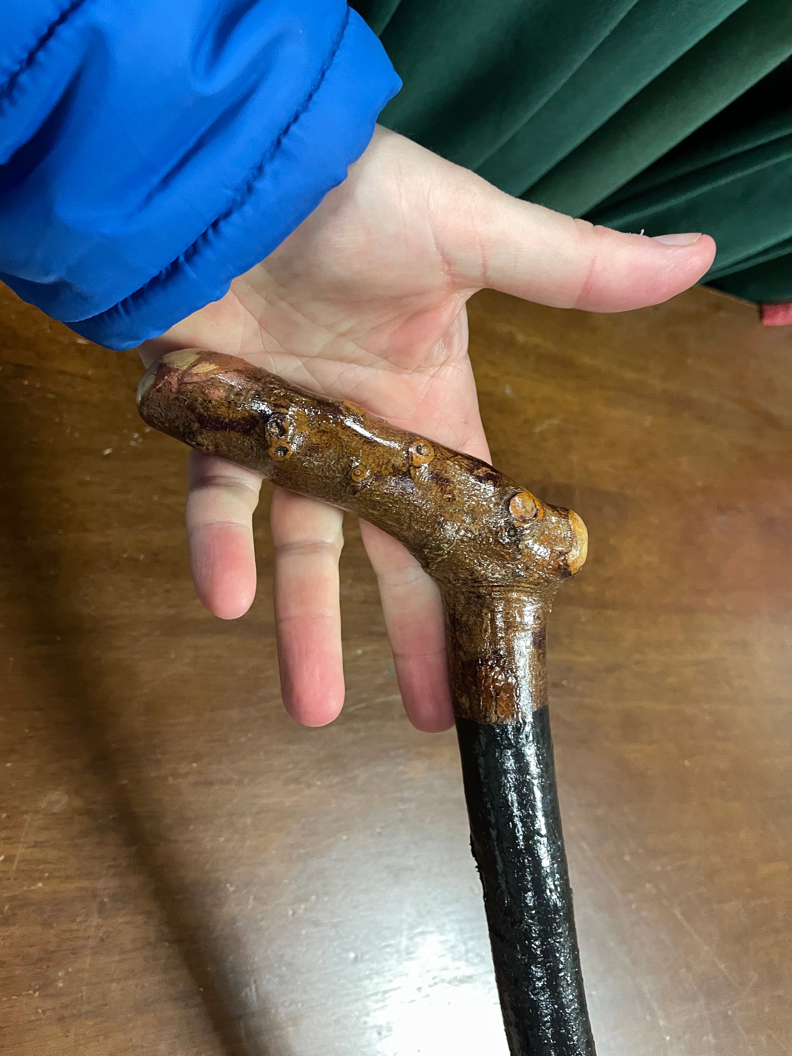 Blackthorn Walking Stick 38 1/2 inch- Handmade in Ireland