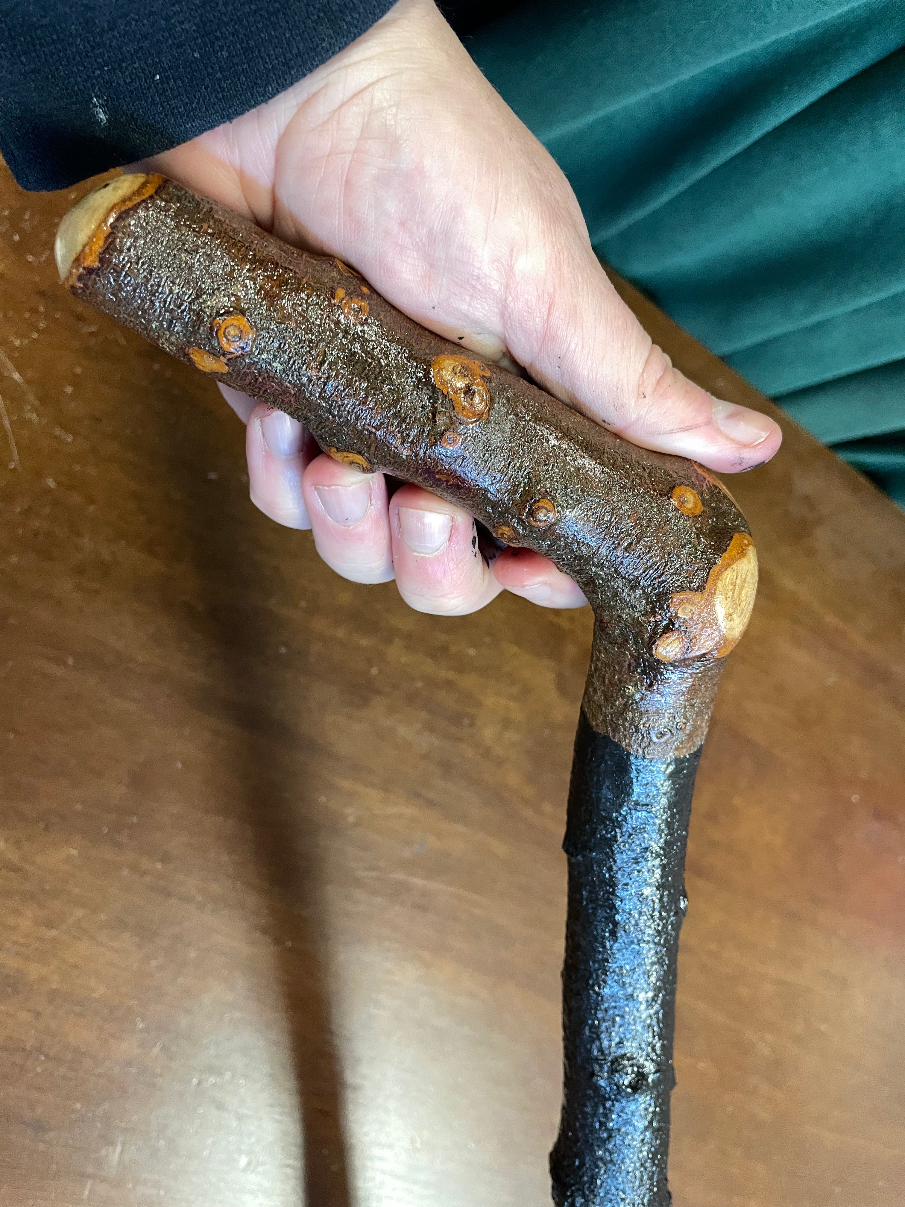 Blackthorn Walking Stick 32 inch- Handmade in Ireland